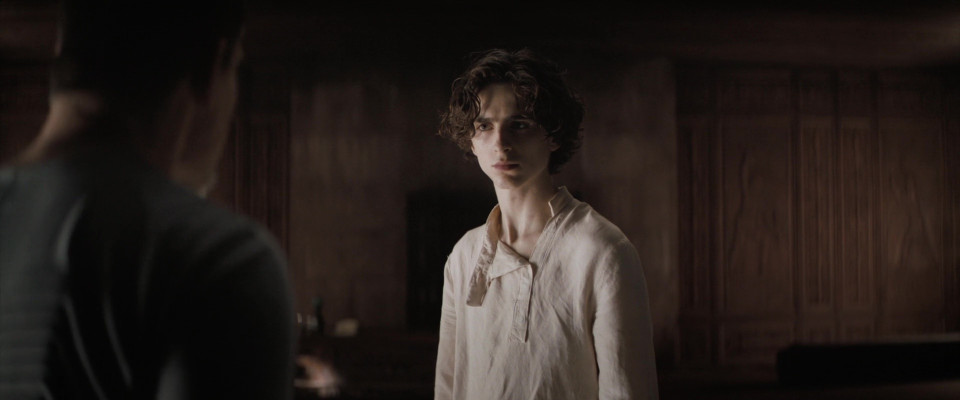 photo 3 in Timothee Chalamet gallery [id1309494] 2022-09-15 00:00:00