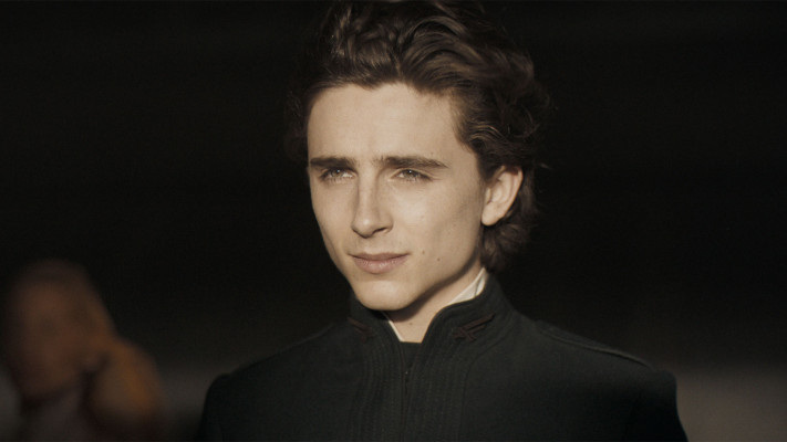 photo 25 in Timothee Chalamet gallery [id1276482] 2021-10-21 00:00:00
