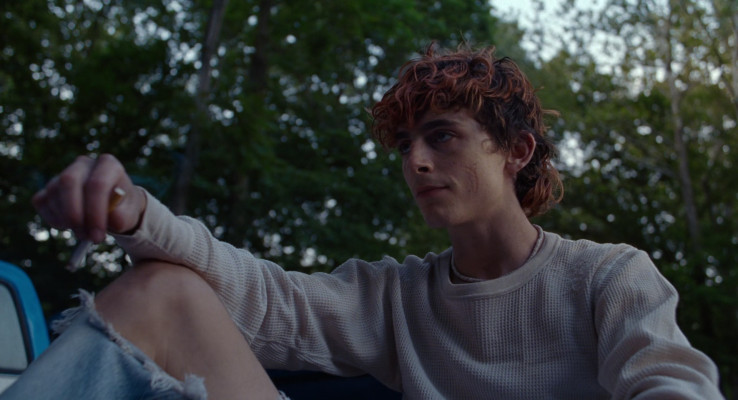 photo 12 in Timothee Chalamet gallery [id1326309] 2023-04-20 00:00:00