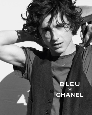 photo 16 in Timothee Chalamet gallery [id1371193] 2025-05-09 00:00:00