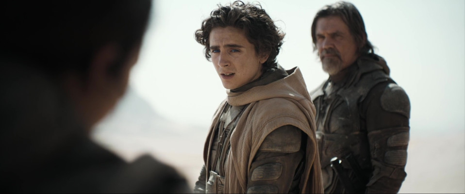 photo 11 in Timothee Chalamet gallery [id1352485] 2024-06-25 00:00:00