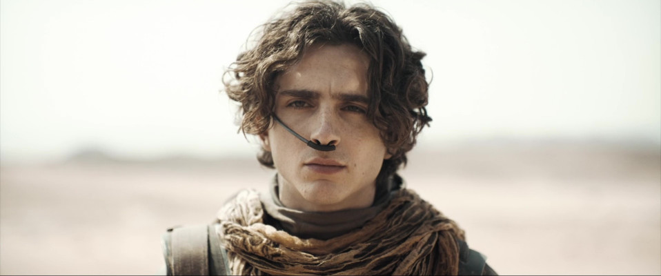 photo 26 in Timothee Chalamet gallery [id1350979] 2024-05-30 00:00:00