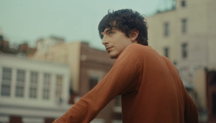 photo 12 in Chalamet gallery [id1363915] 2025-01-20 00:00:00