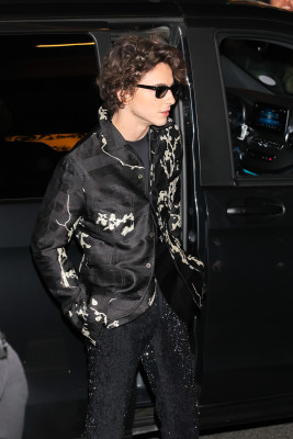 photo 21 in Timothee Chalamet gallery [id1356278] 2024-09-05 00:00:00