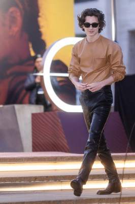photo 27 in Timothee Chalamet gallery [id1353717] 2024-07-08 00:00:00