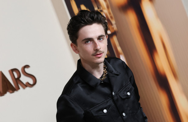 photo 4 in Timothee Chalamet gallery [id1369792] 2025-04-17 00:00:00