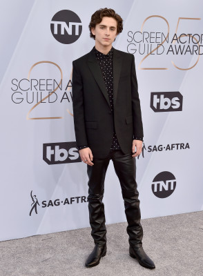 photo 19 in Chalamet gallery [id1312478] 2022-10-30 00:00:00