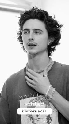 photo 15 in Timothee Chalamet gallery [id1341498] 2024-01-19 00:00:00