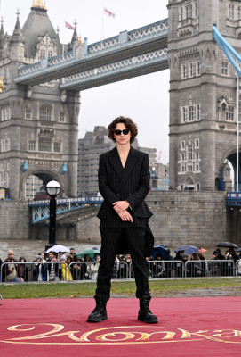 photo 27 in Chalamet gallery [id1339534] 2023-12-26 00:00:00