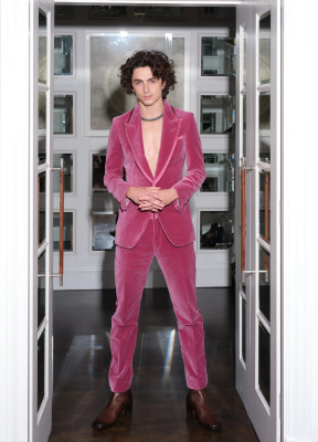 photo 20 in Timothee Chalamet gallery [id1339578] 2023-12-26 00:00:00