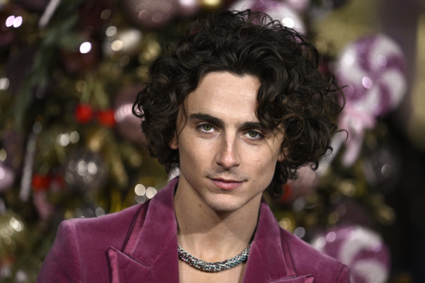 photo 3 in Timothee Chalamet gallery [id1342211] 2024-01-26 00:00:00