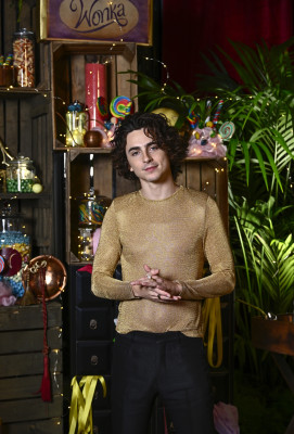 photo 14 in Timothee Chalamet gallery [id1340078] 2024-01-01 00:00:00