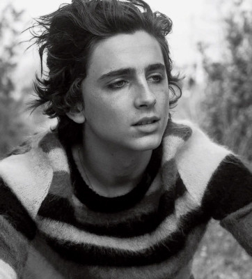 photo 22 in Chalamet gallery [id974703] 2017-10-27 00:00:00