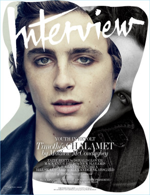 photo 19 in Timothee Chalamet gallery [id978026] 2017-11-10 00:00:00