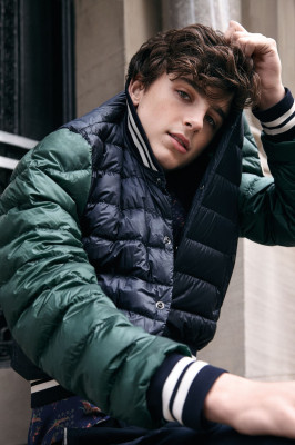 photo 29 in Timothee Chalamet gallery [id974696] 2017-10-27 00:00:00