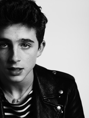 photo 6 in Chalamet gallery [id975204] 2017-10-29 00:00:00