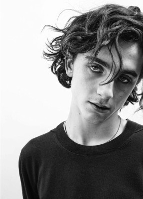 photo 23 in Timothee Chalamet gallery [id1048529] 2018-07-08 00:00:00