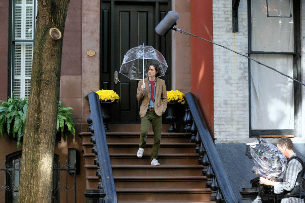 photo 13 in Timothee Chalamet gallery [id975197] 2017-10-29 00:00:00