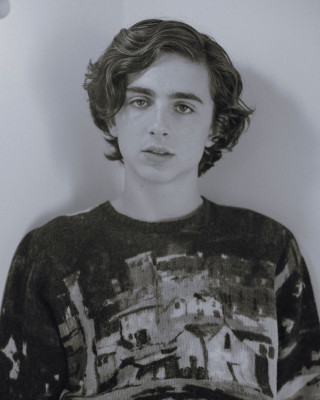 photo 22 in Timothee Chalamet gallery [id978023] 2017-11-10 00:00:00
