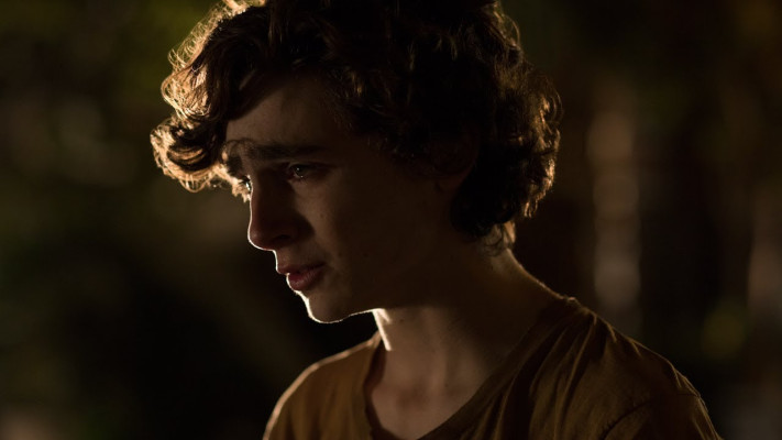 photo 24 in Timothee Chalamet gallery [id1273993] 2021-10-12 00:00:00