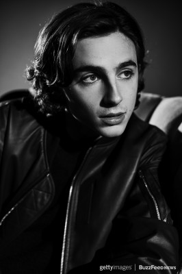 photo 15 in Chalamet gallery [id975195] 2017-10-29 00:00:00