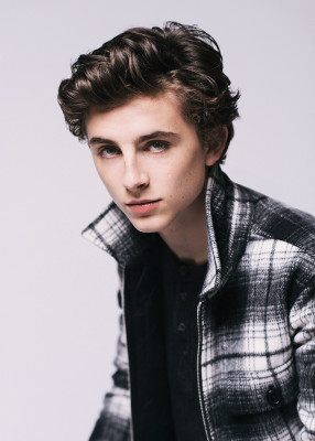 photo 8 in Timothee Chalamet gallery [id978037] 2017-11-10 00:00:00