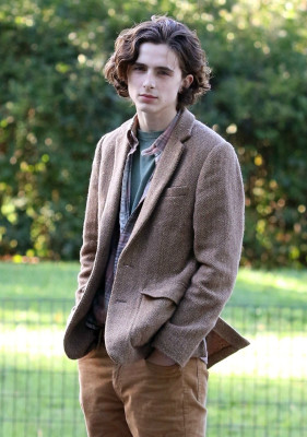 photo 11 in Chalamet gallery [id978034] 2017-11-10 00:00:00