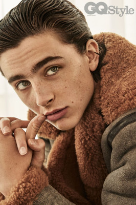 photo 17 in Timothee Chalamet gallery [id975193] 2017-10-29 00:00:00