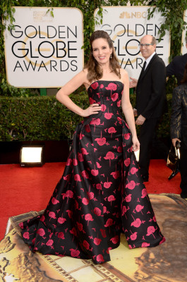 photo 7 in Tina Fey gallery [id662127] 2014-01-17 00:00:00