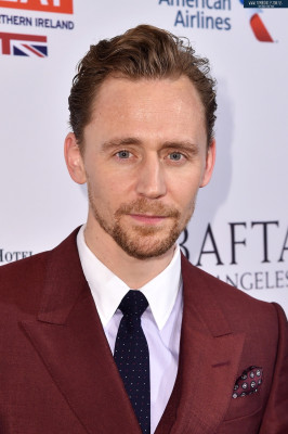 Tom Hiddleston pic #916238