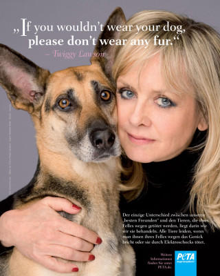 Twiggy pic #361125