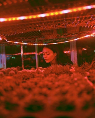 Vanessa Hudgens pic #1152784