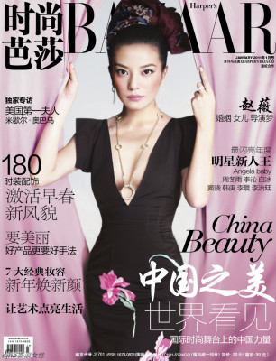 photo 8 in Wei gallery [id370963] 2011-04-21 00:00:00