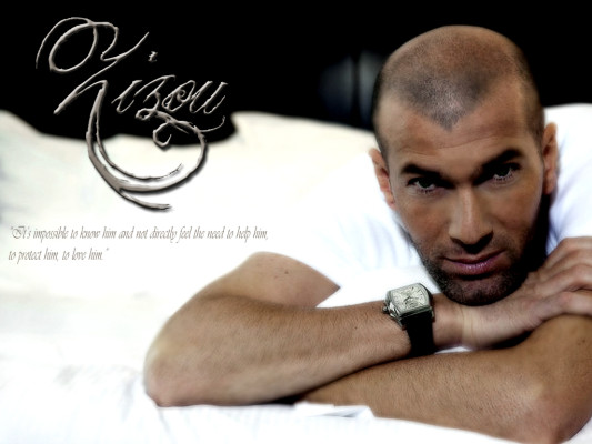 Zinedine Zidane pic #558892