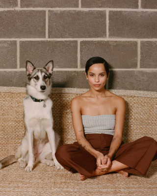 photo 18 in Zoe Kravitz gallery [id1203761] 2020-02-23 00:00:00