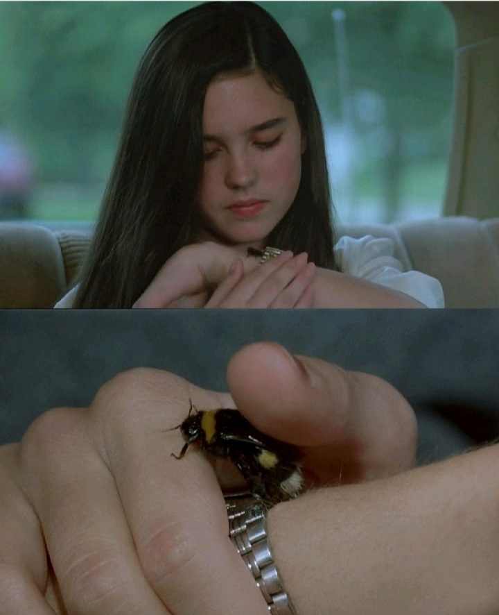 Photo from Jennifer Connelly