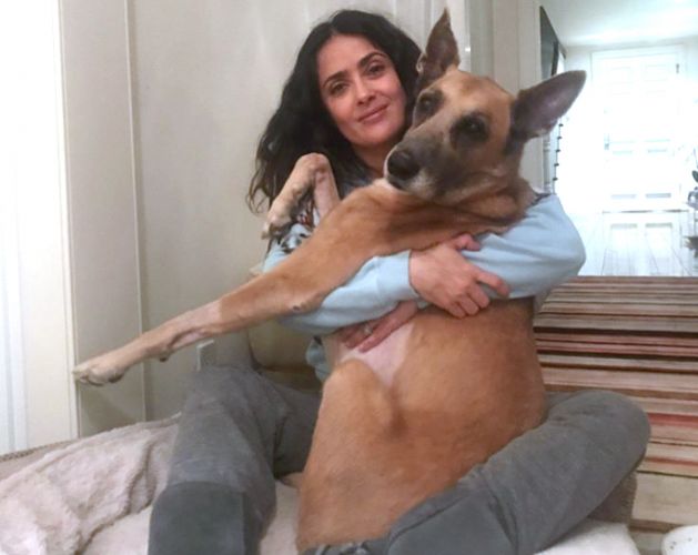Salma Hayek Says Goodbye To Her Dog Blue
