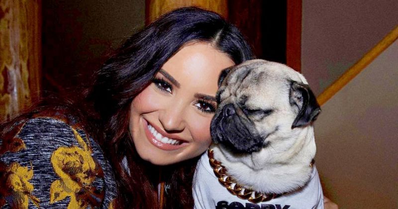 Demi Lovato And Doug The Poug Are Celebrating Her New Single
