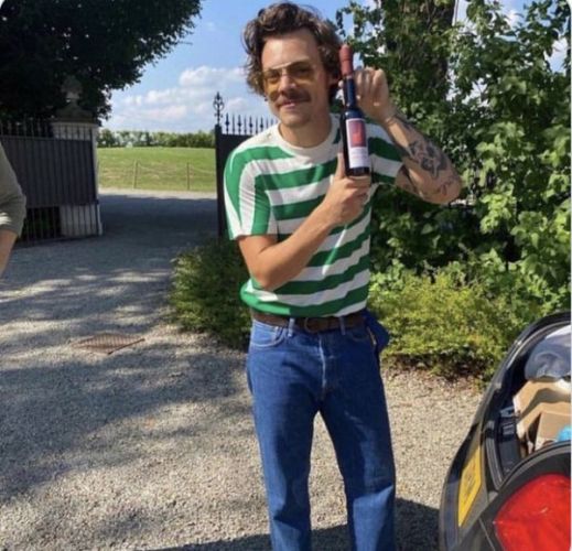 Harry Stуles charmed with his new image