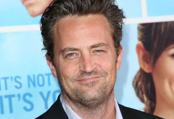 Matthew Perry announces engagement to Molly Hurwitz 