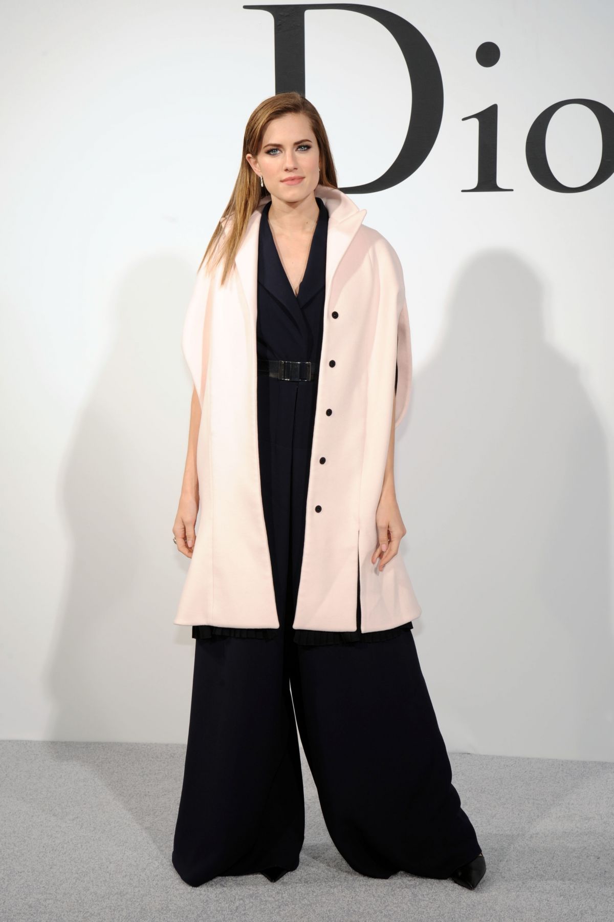 Allison Williams, photo #698575