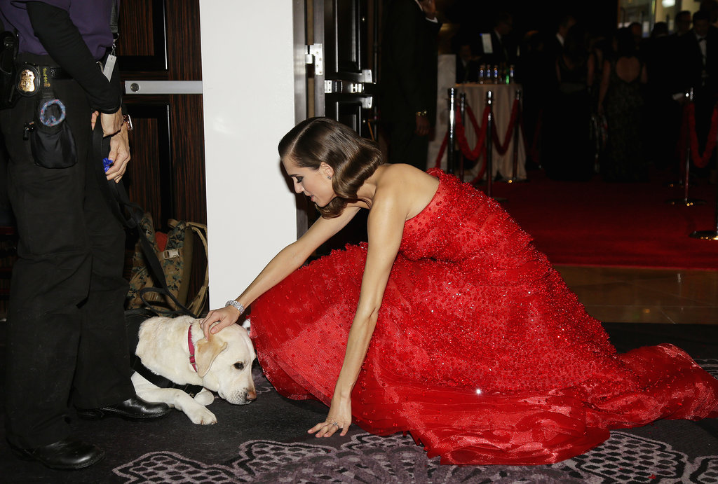 Allison Williams, photo #753891