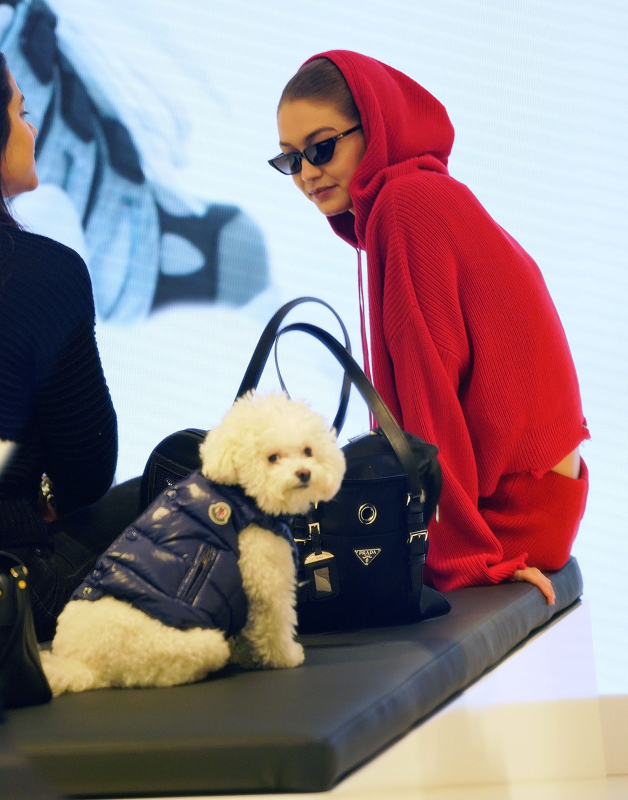 Gigi Hadid, photo #1011813