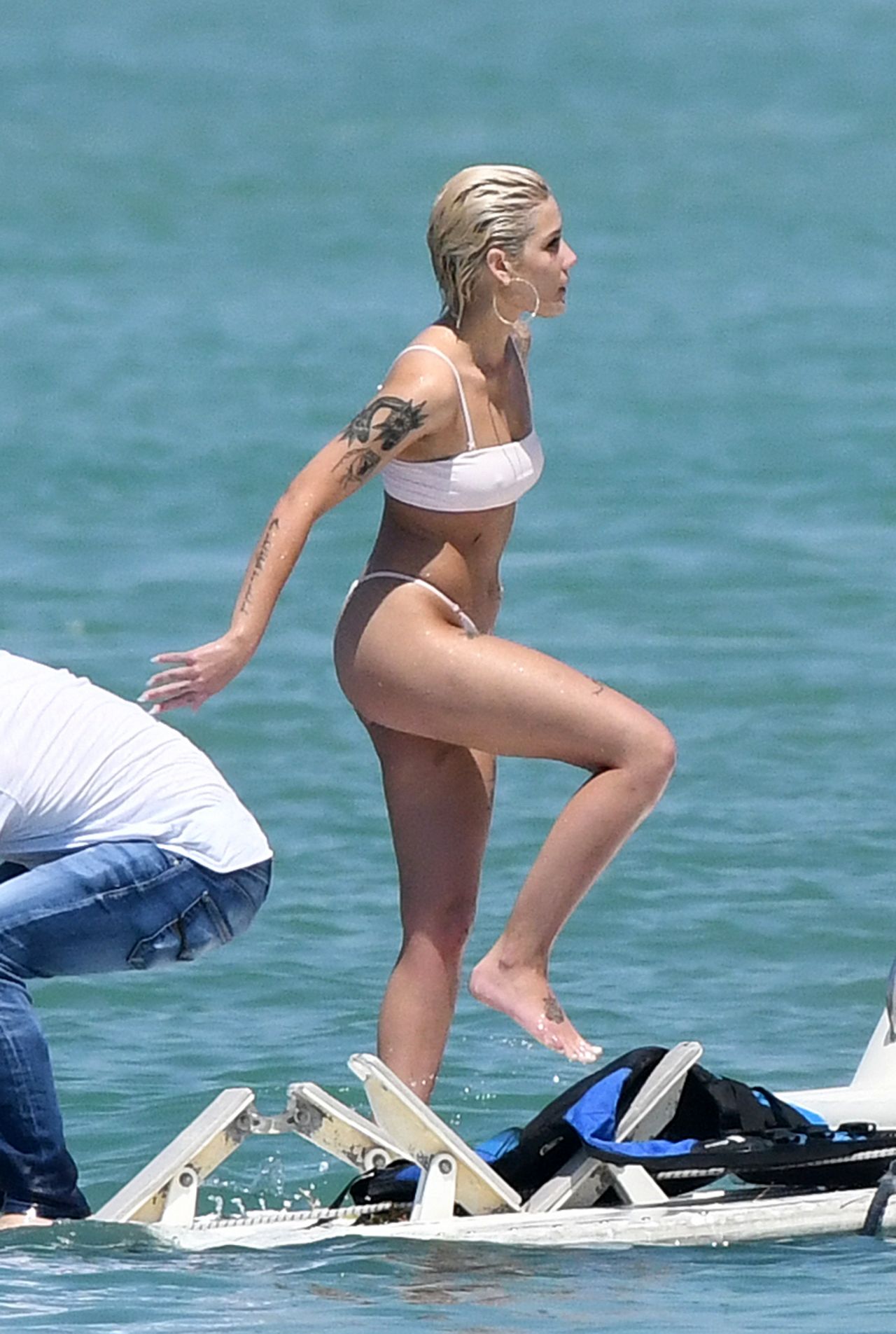 Halsey, photo #1024502
