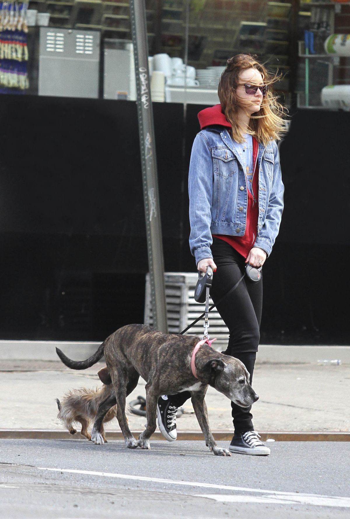 Leighton Meester, photo #690093