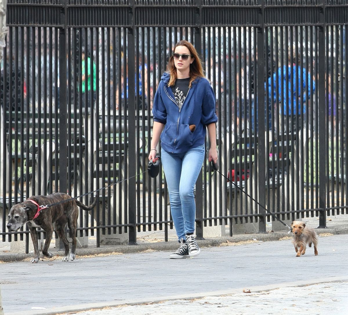 Leighton Meester, photo #691553