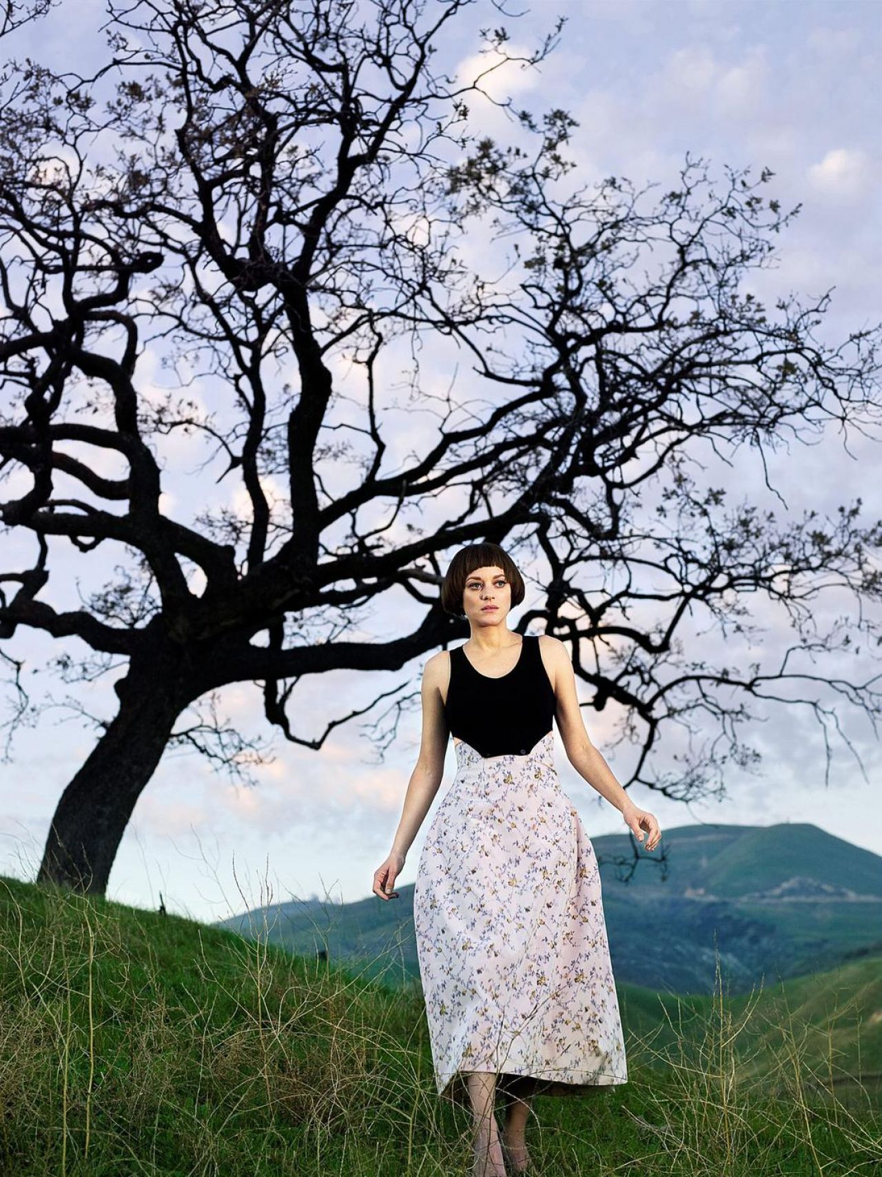 Marion Cotillard, photo #760790