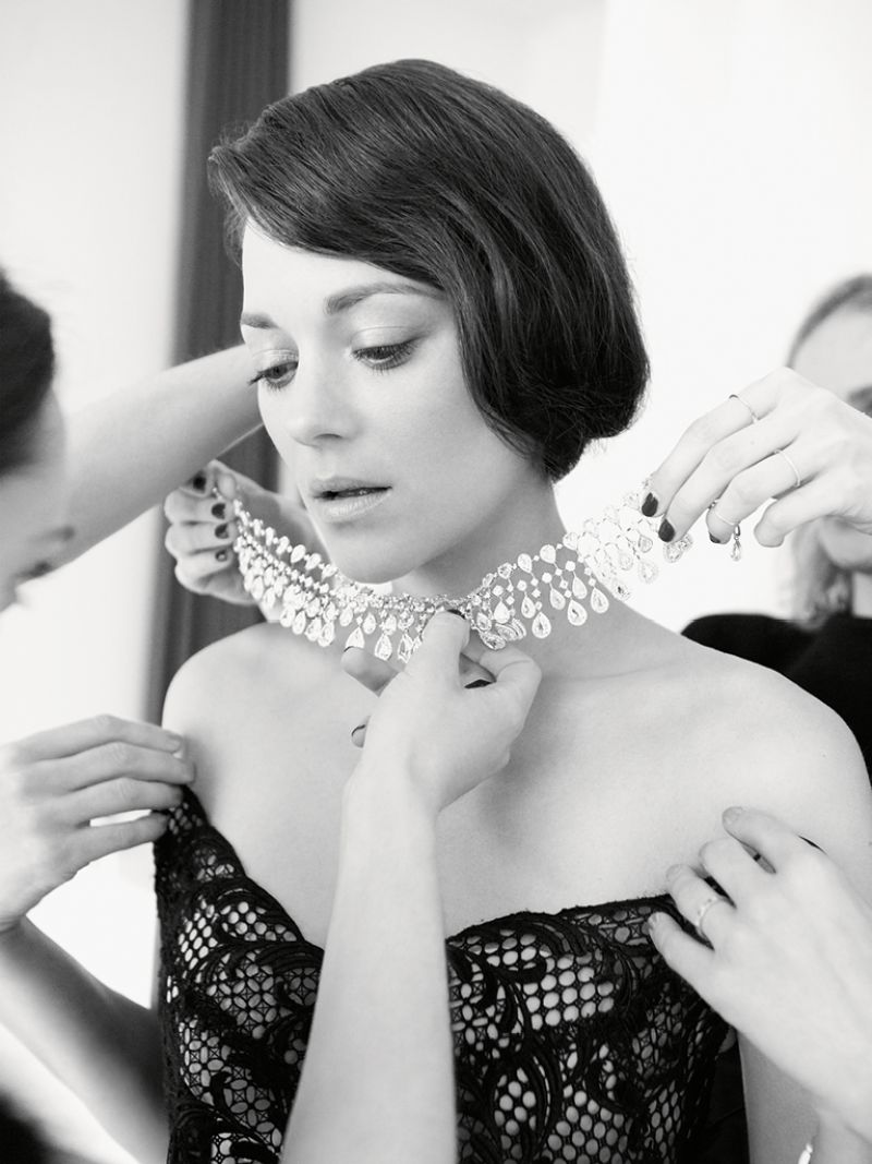 Marion Cotillard, photo #741901
