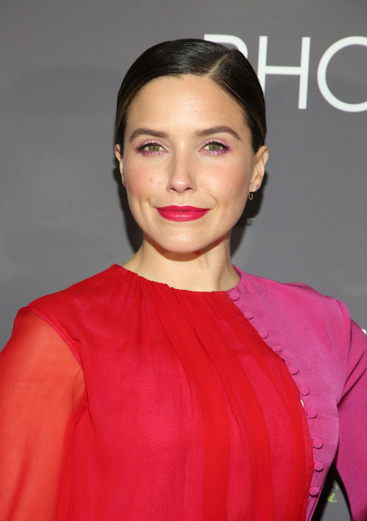 Sophia Bush, photo #1074569