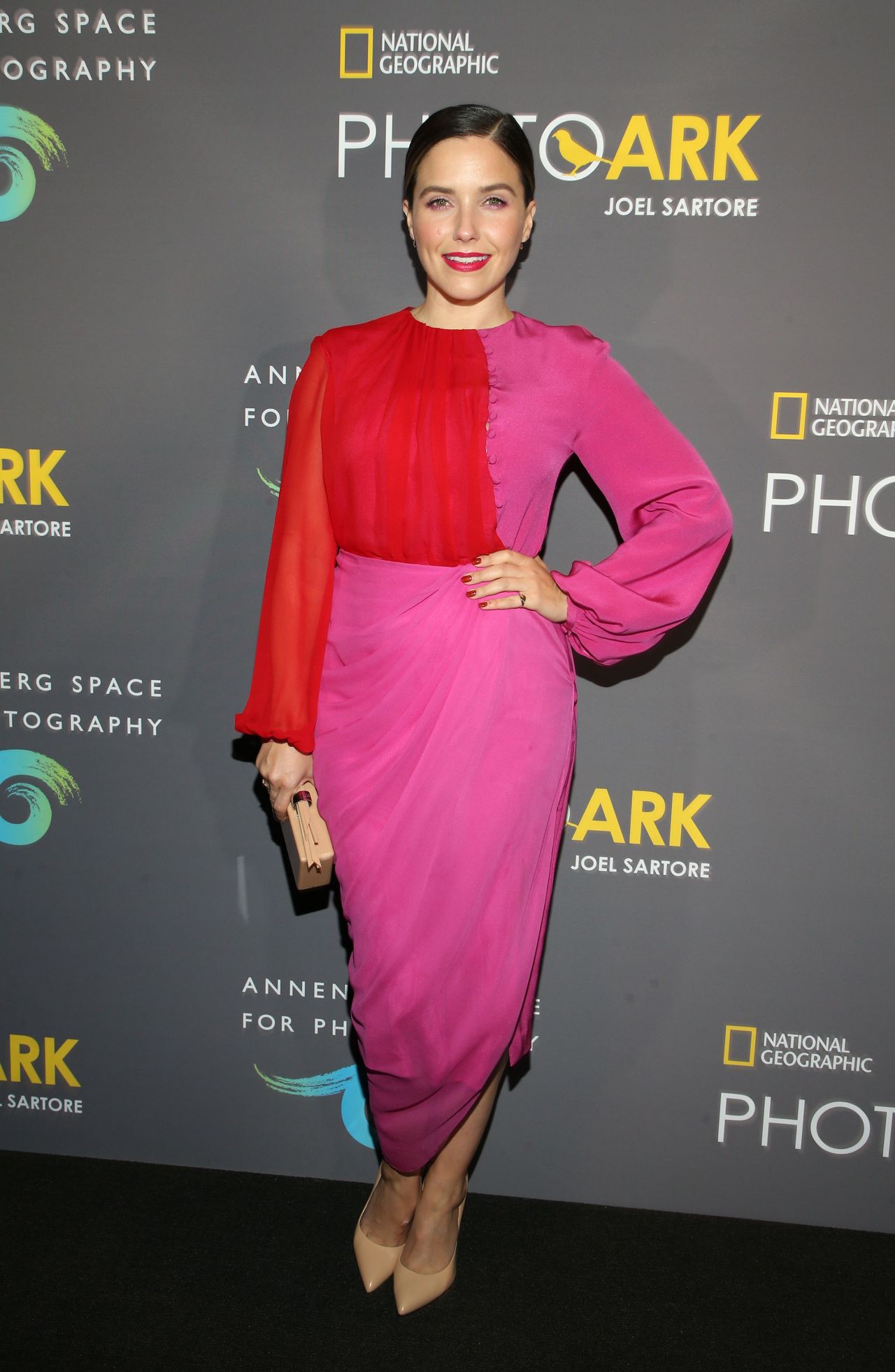 Sophia Bush, photo #1074570